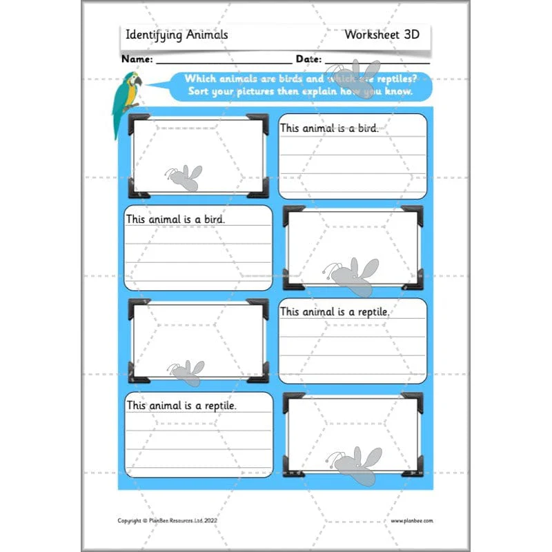 Identifying Animals - Image 12