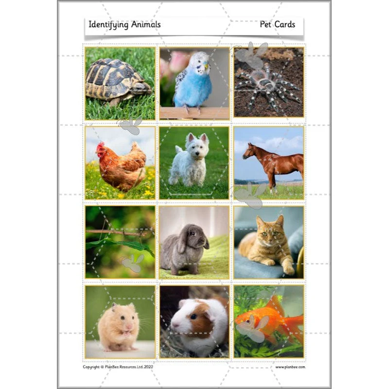 Identifying Animals - Image 26