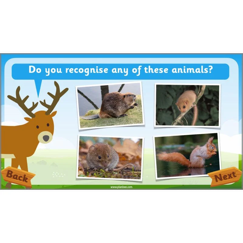 Identifying Animals - Image 29