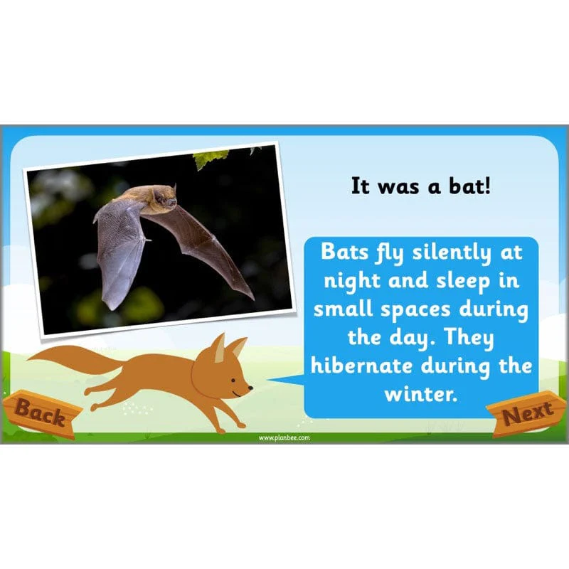 Identifying Animals - Image 32