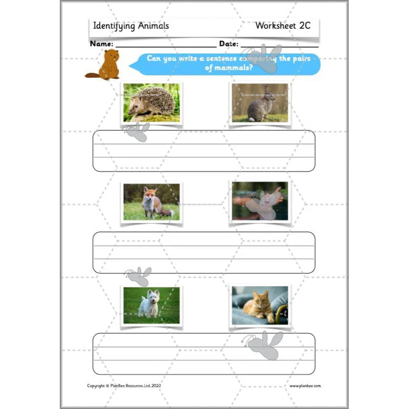 Identifying Animals - Image 34