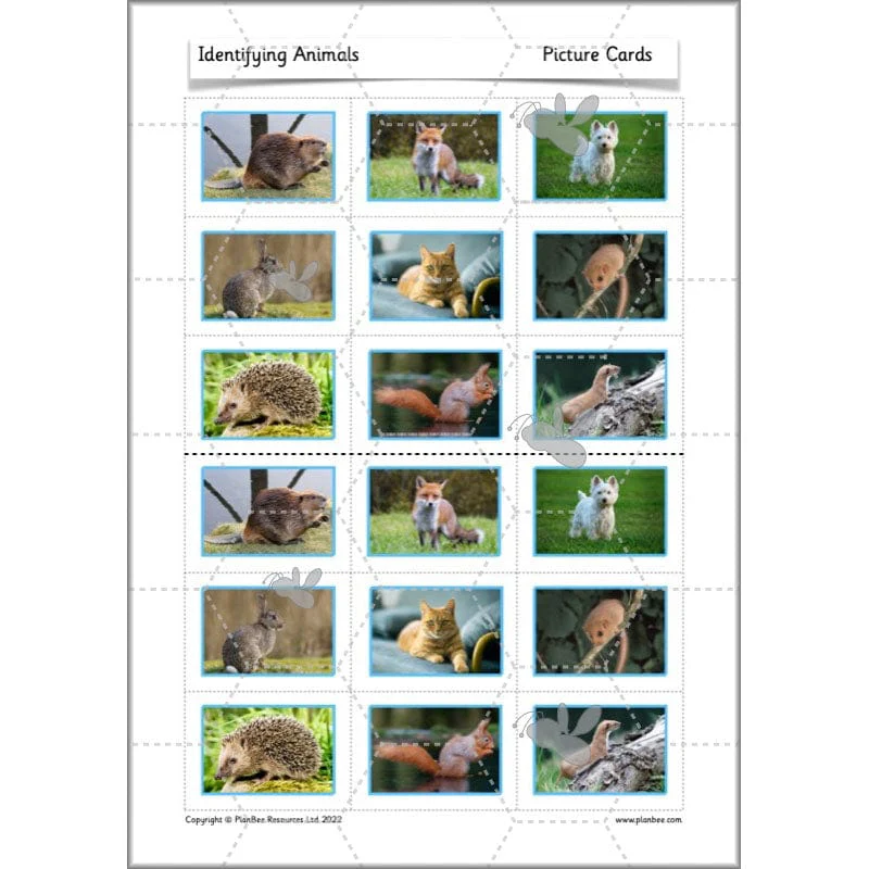 Identifying Animals - Image 35