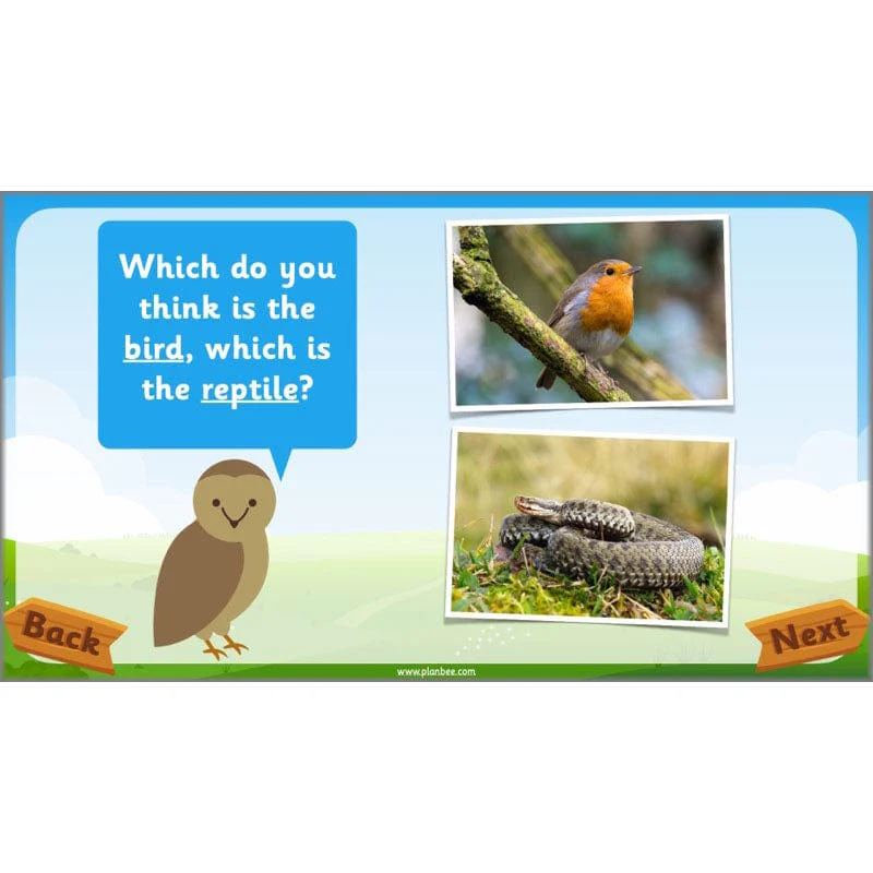 Identifying Animals - Image 37