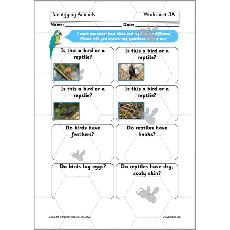 Identifying Animals - Image 41