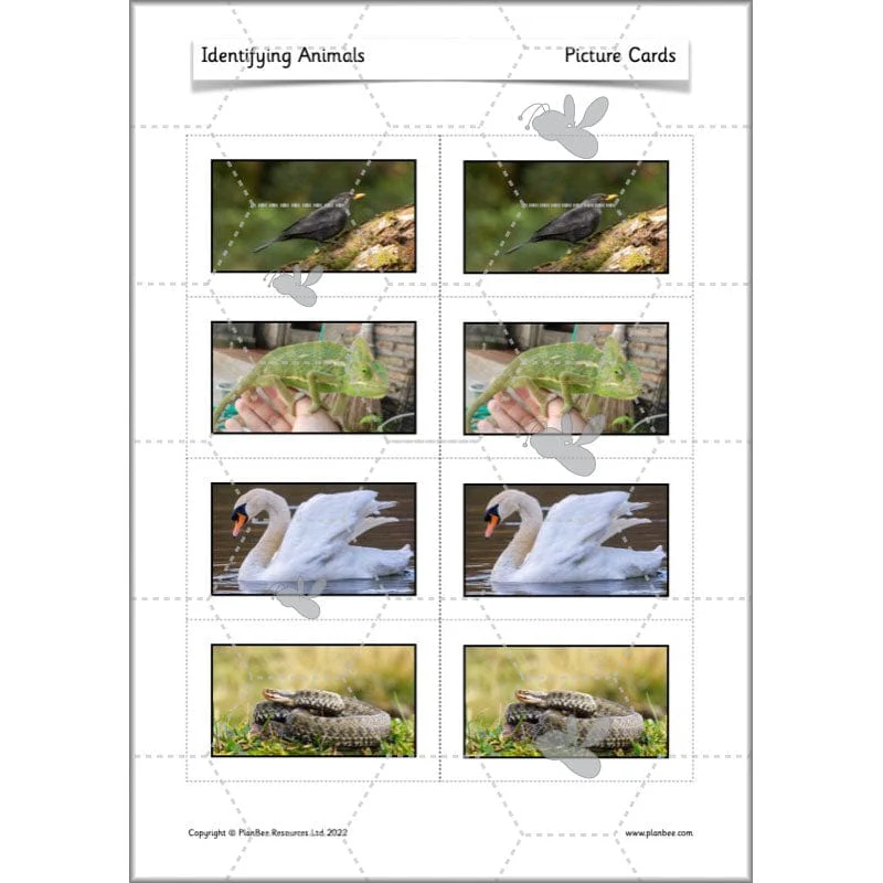 Identifying Animals - Image 43