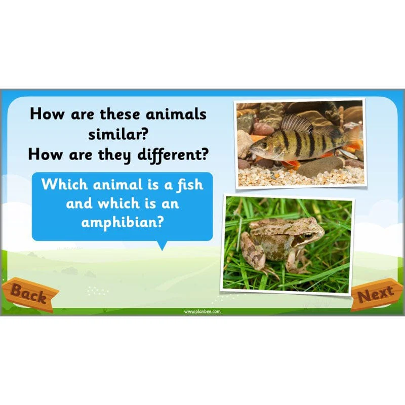 Identifying Animals - Image 45