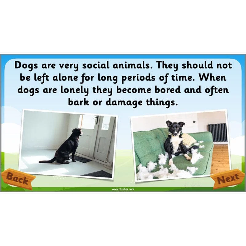 Identifying Animals - Image 61