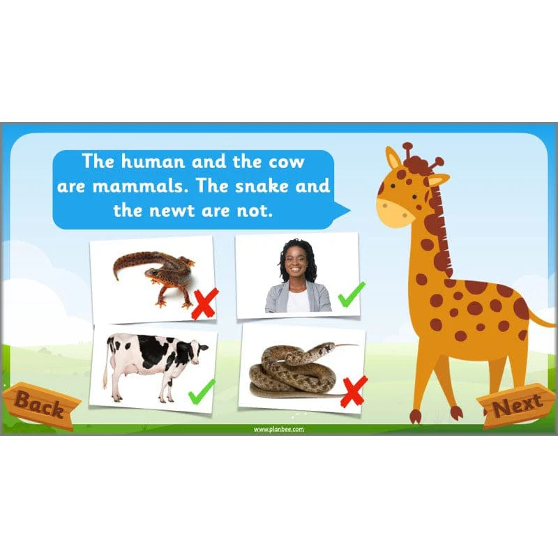 Identifying Animals - Image 72