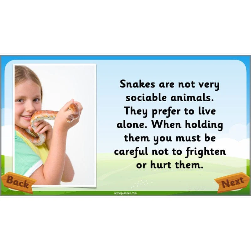 Identifying Animals - Image 8
