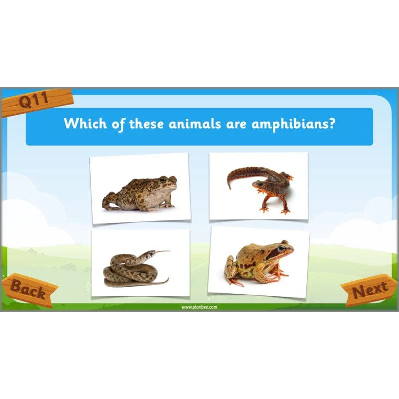 Identifying Animals - Image 9