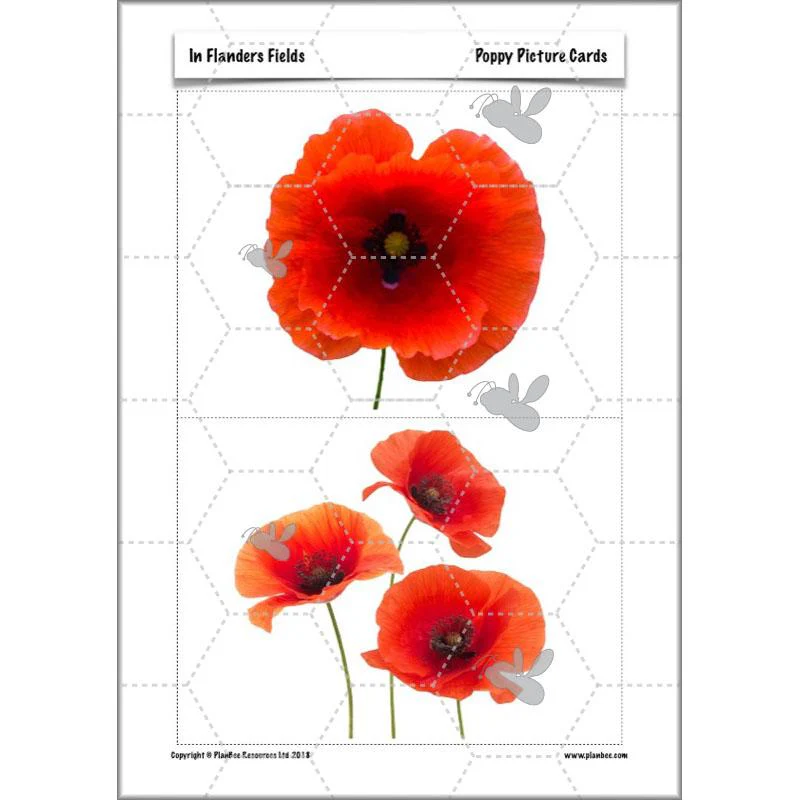 In Flanders Fields - Image 57
