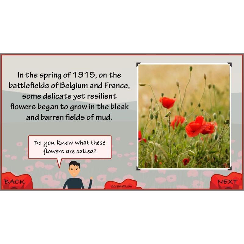 In Flanders Fields - Image 8