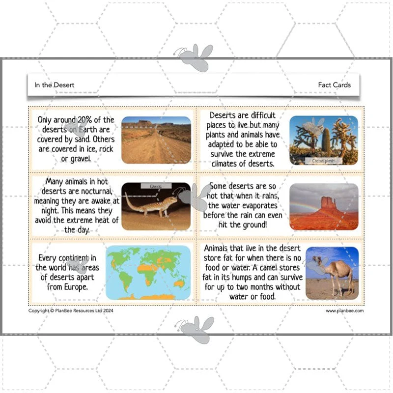 In the Desert - Image 15