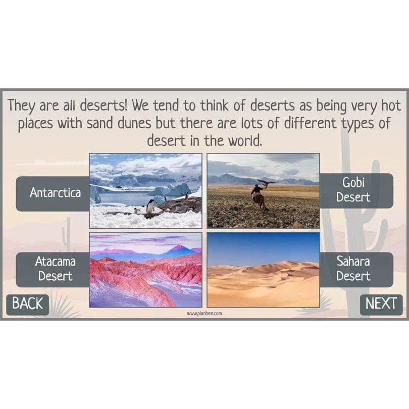 In the Desert - Image 25
