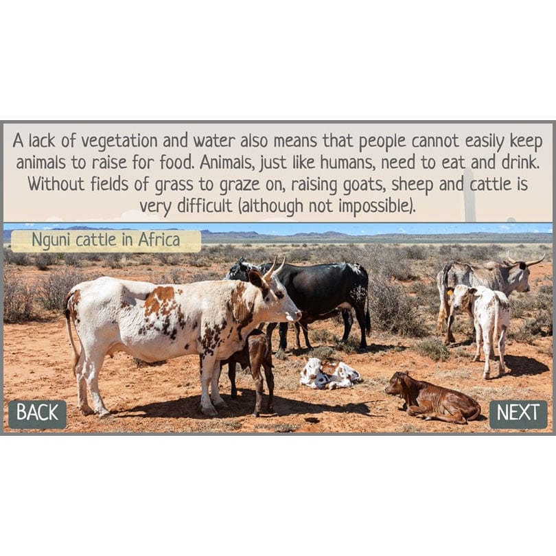 In the Desert - Image 57