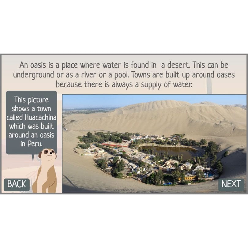 In the Desert - Image 58