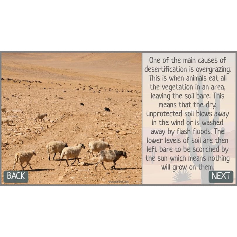 In the Desert - Image 66