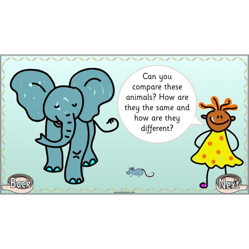 Let’s Compare Length, Height and Mass - Image 11