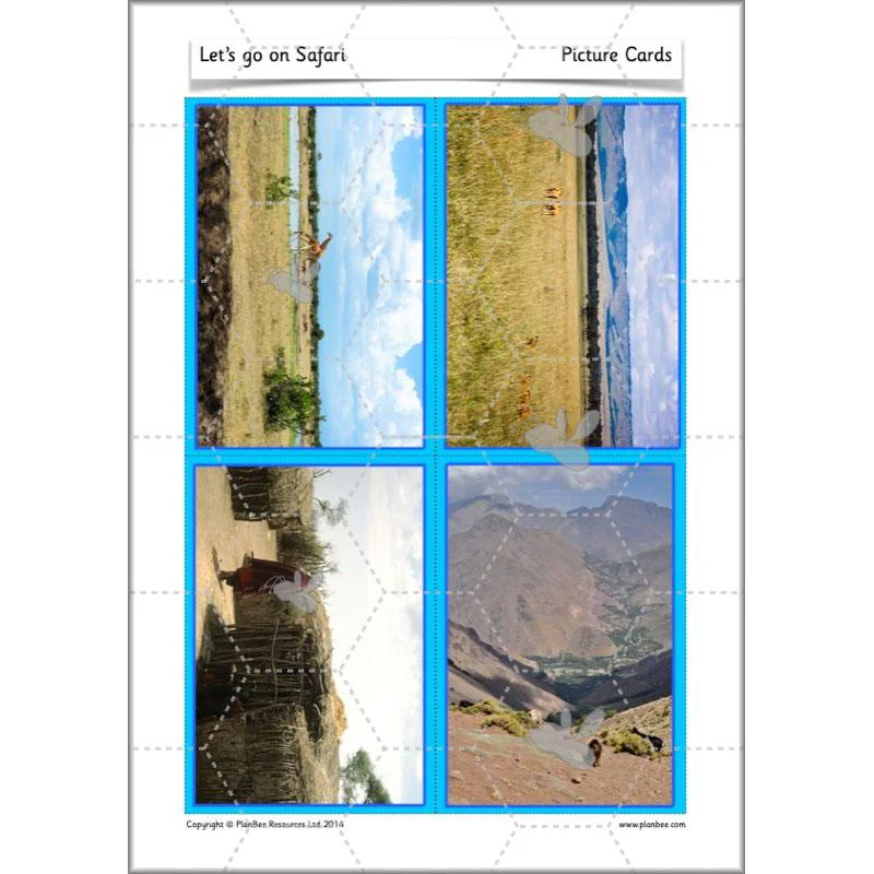 Let's go on Safari - Image 15