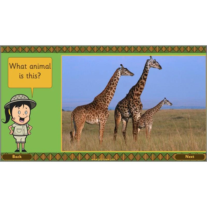 Let's go on Safari - Image 39