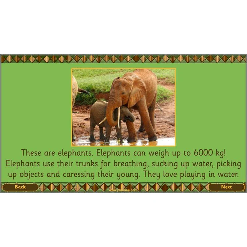 Let's go on Safari - Image 40