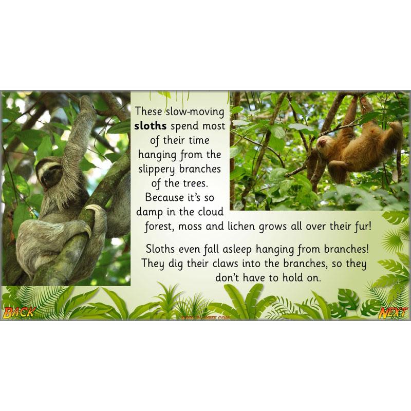 Let's go to the jungle - Image 52