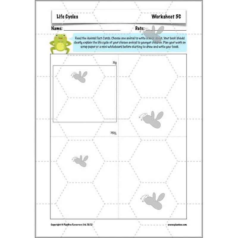 Life Cycles KS2 - Image 14