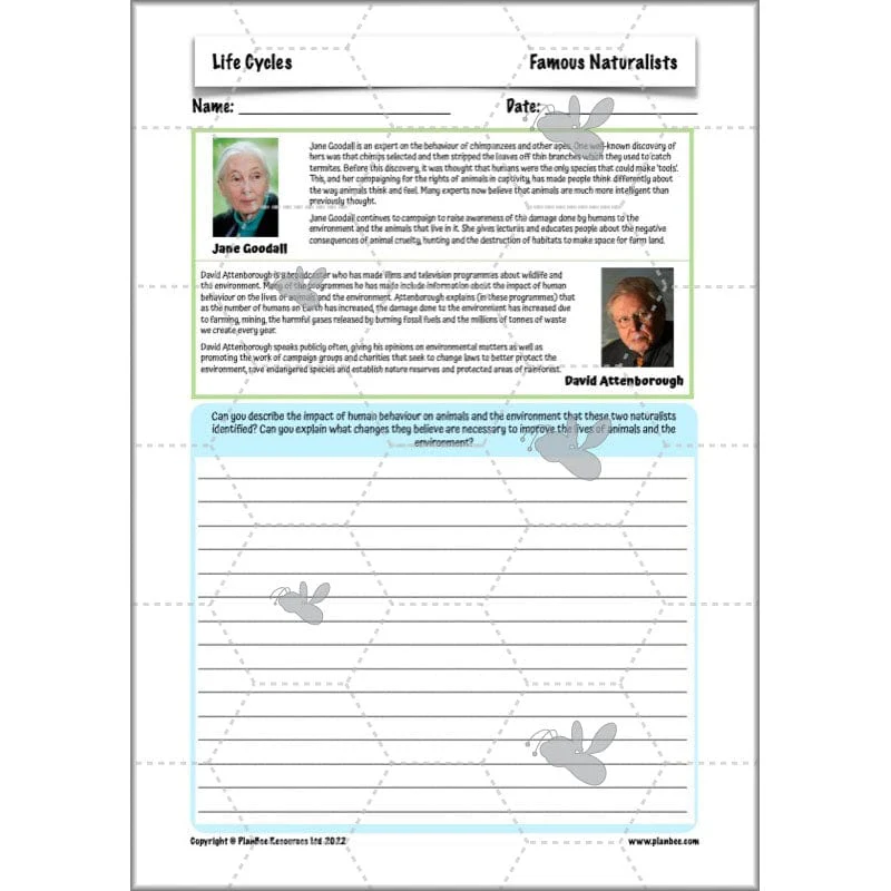 Life Cycles KS2 - Image 15