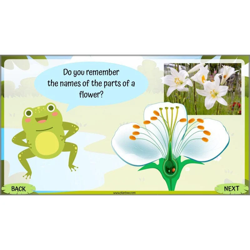 Life Cycles KS2 - Image 21