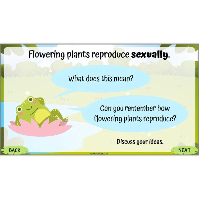 Life Cycles KS2 - Image 23