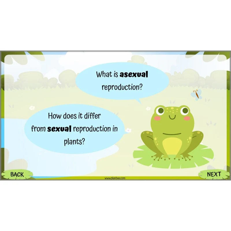 Life Cycles KS2 - Image 29