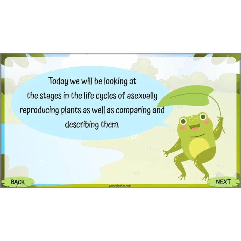 Life Cycles KS2 - Image 32