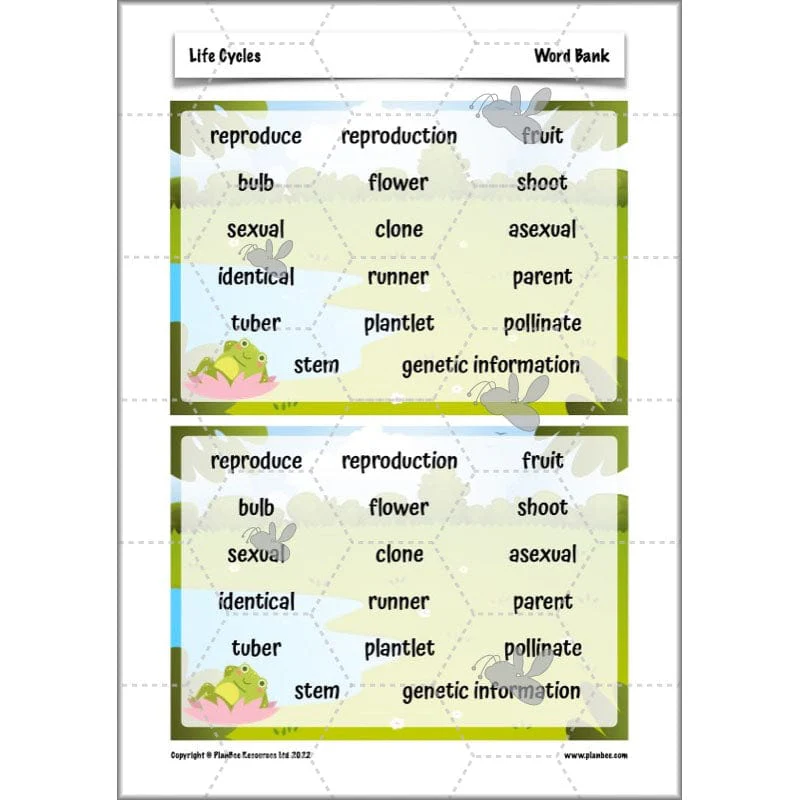 Life Cycles KS2 - Image 34