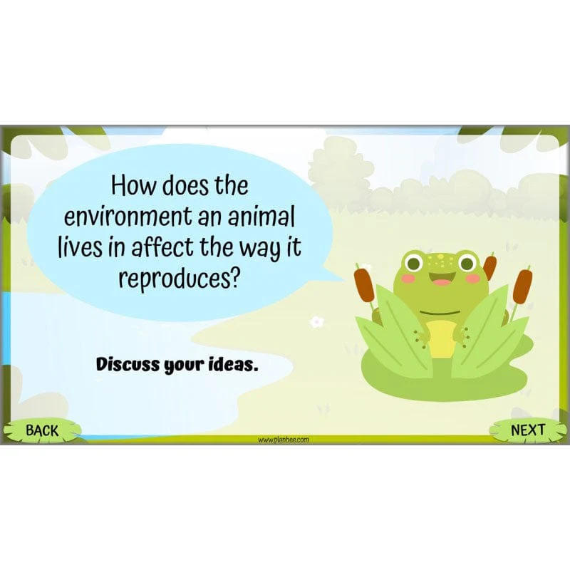 Life Cycles KS2 - Image 38
