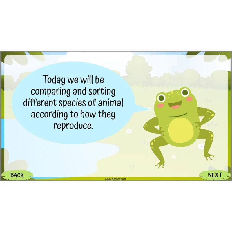 Life Cycles KS2 - Image 40