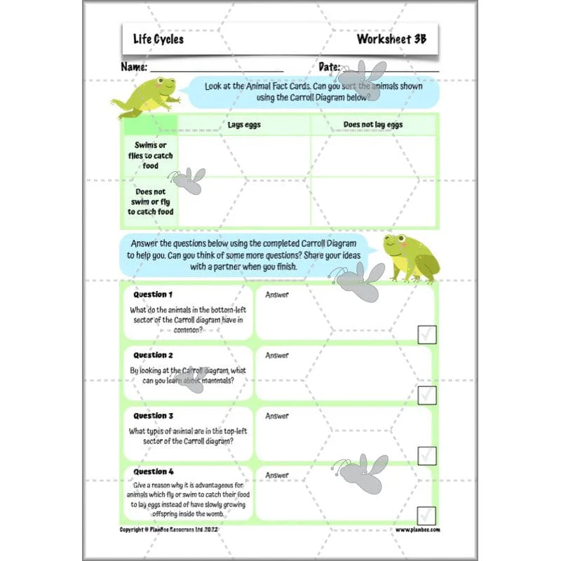 Life Cycles KS2 - Image 41