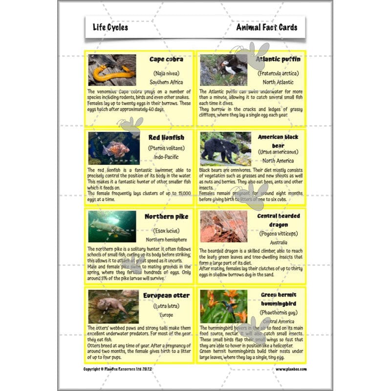 Life Cycles KS2 - Image 42