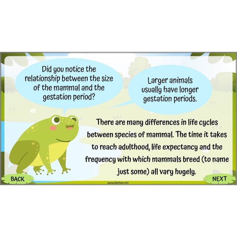Life Cycles KS2 - Image 52