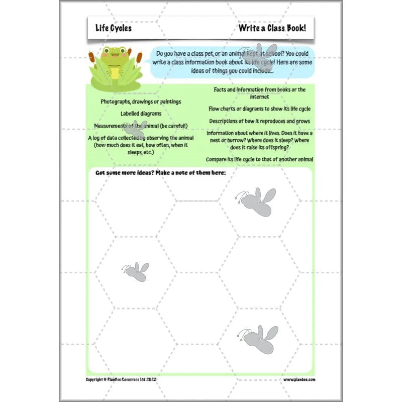 Life Cycles KS2 - Image 58