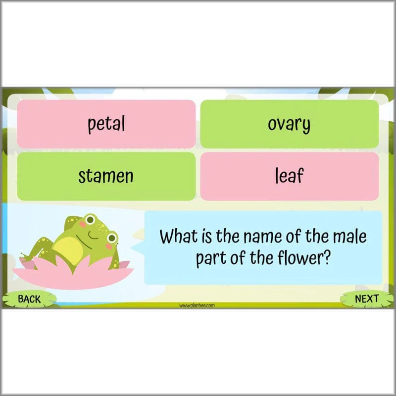 Life Cycles KS2 - Image 63