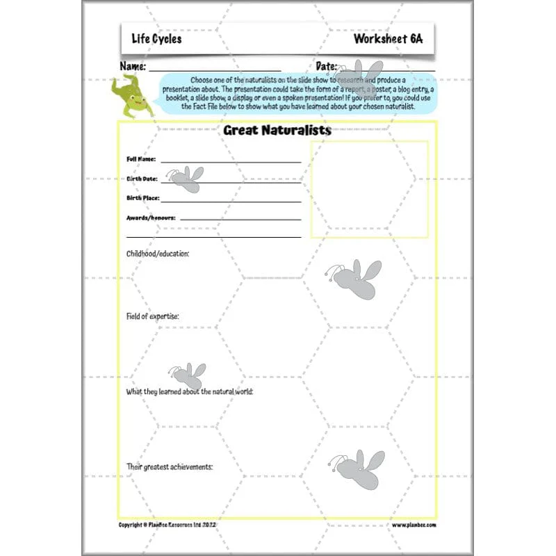 Life Cycles KS2 - Image 66