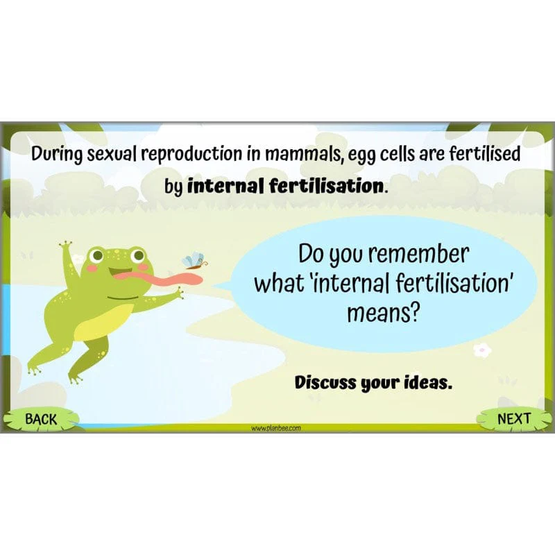 Life Cycles KS2 - Image 7
