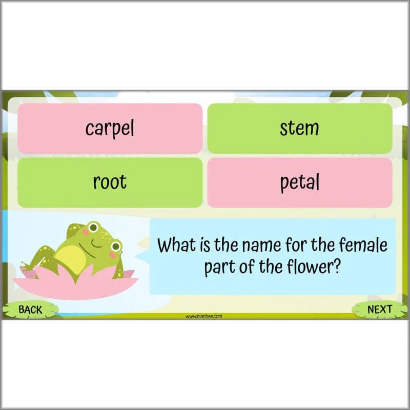 Life Cycles KS2 - Image 9