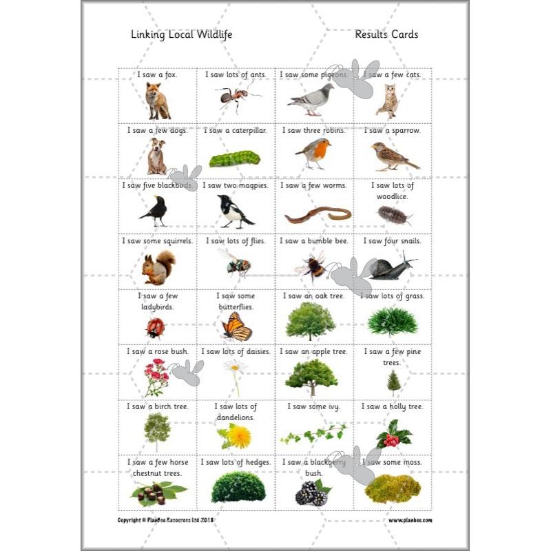 Linking Local Wildlife - Image 11