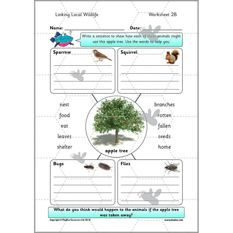 Linking Local Wildlife - Image 12