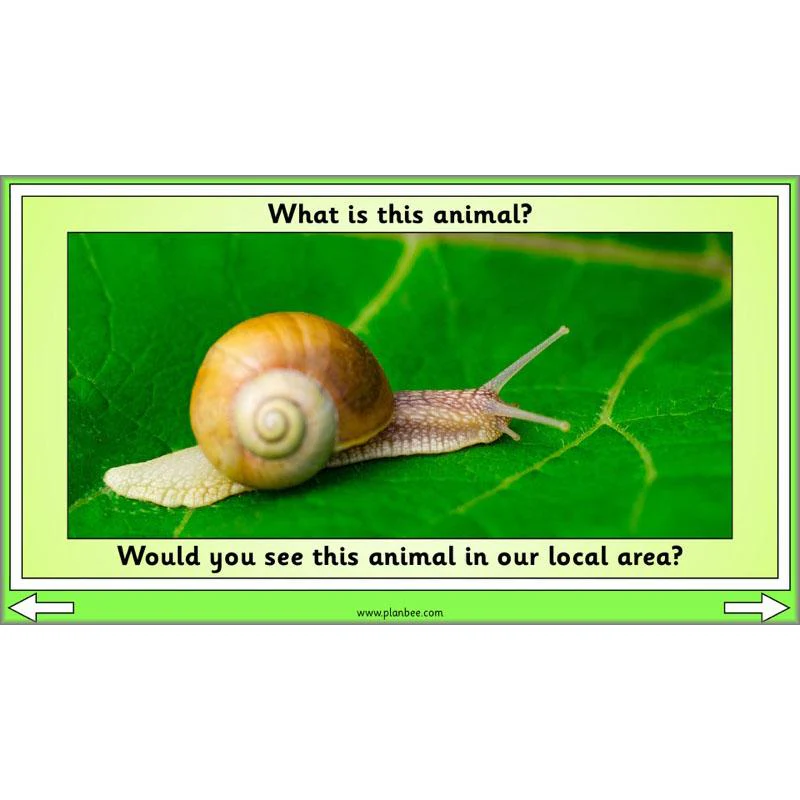 Linking Local Wildlife - Image 18