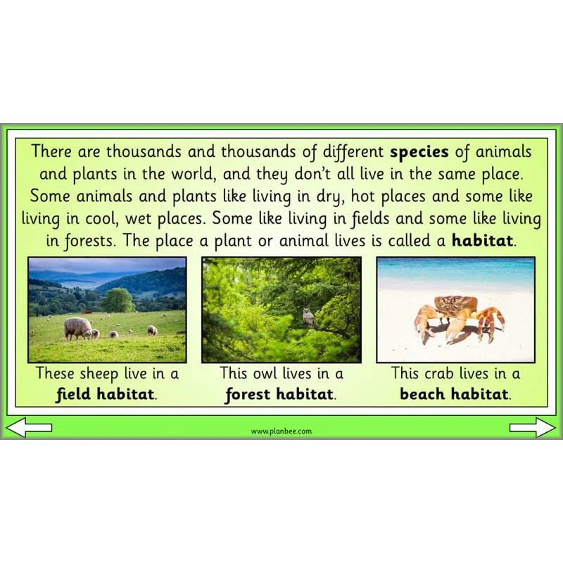 Linking Local Wildlife - Image 19