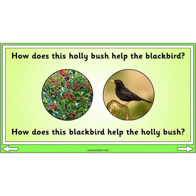 Linking Local Wildlife - Image 26
