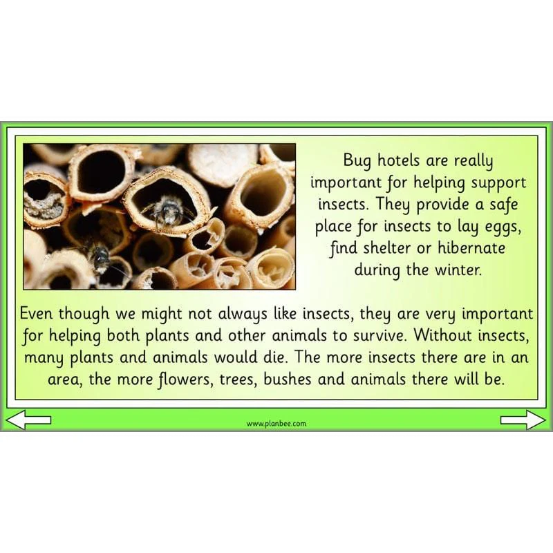 Linking Local Wildlife - Image 34