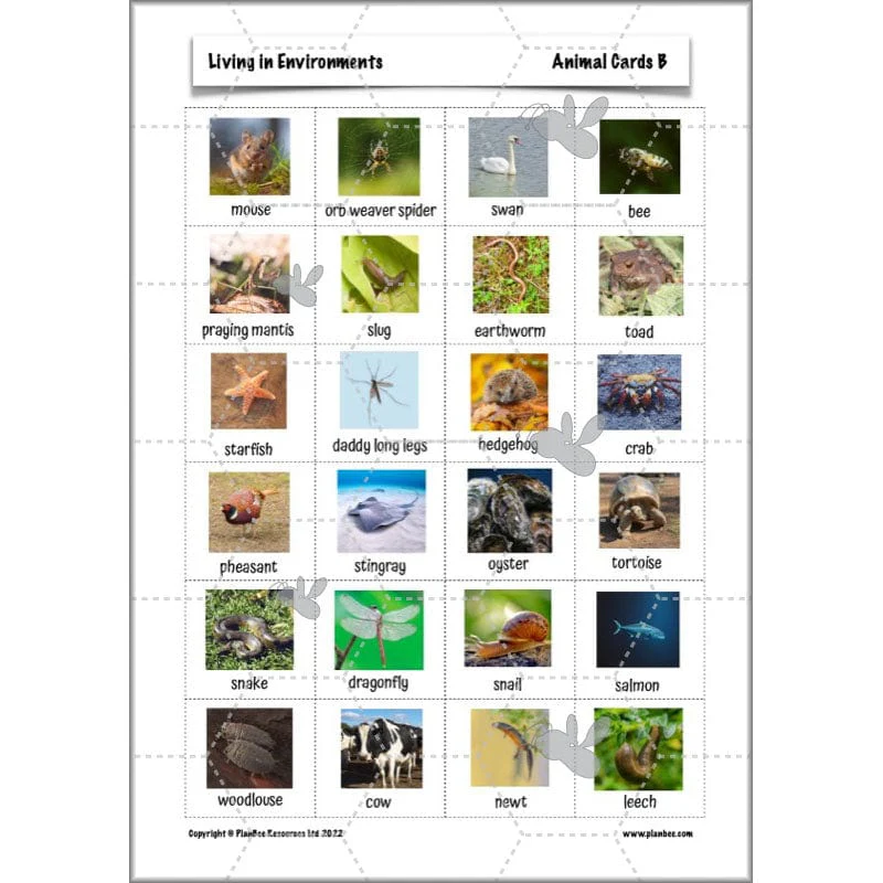 Living in Environments - Image 13
